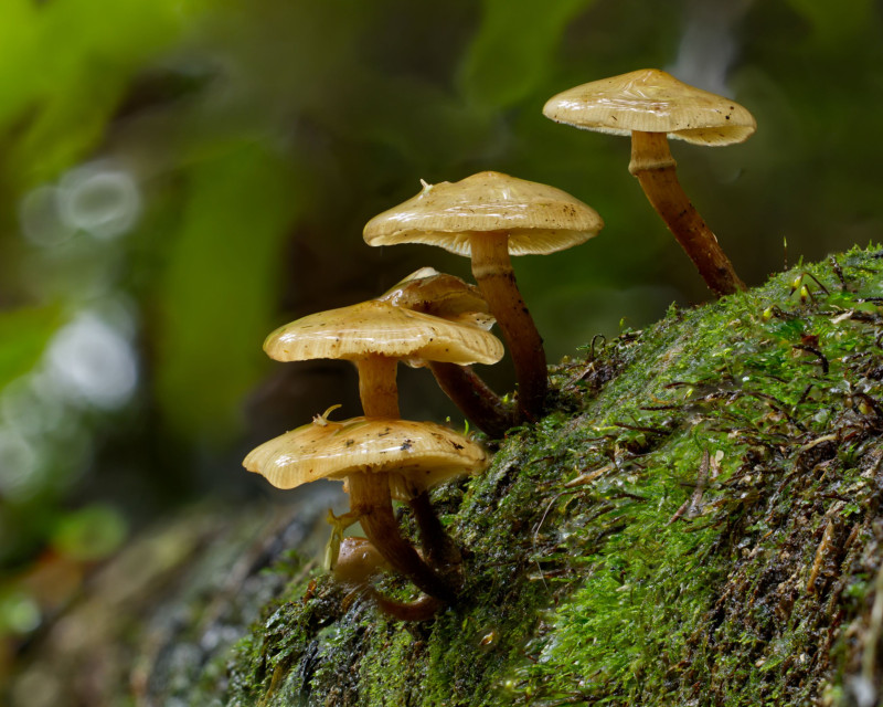 2025 06 14 13 59 23 BR8S4