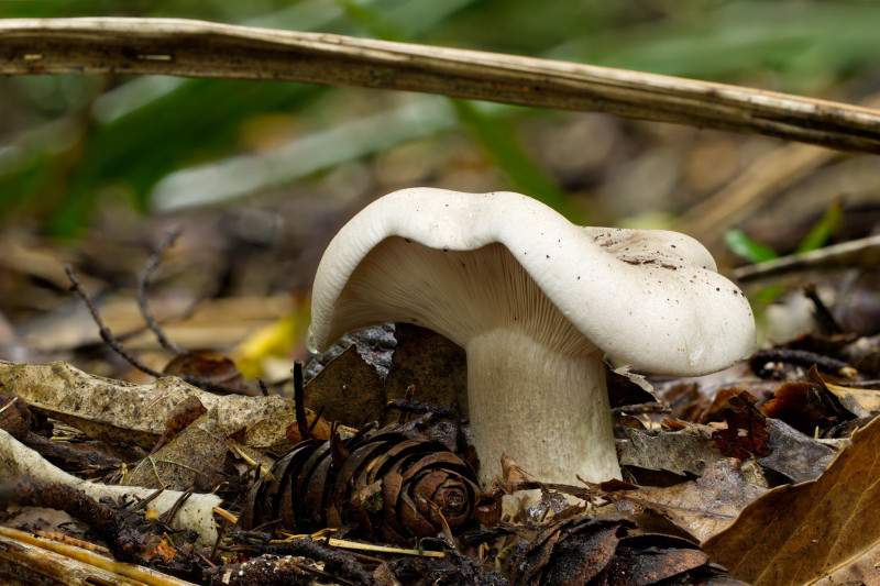 2026 01 12 20 49 59 BR8S4